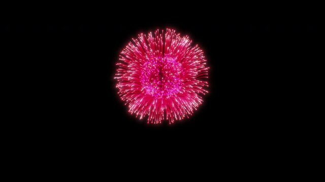 花火エフェクト動画素材。大きな打ち上げ花火。組み合わせて使えるお得な4点セット。Part.1