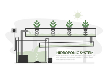 Nutrient film technique (NTF) Hydroponic system
