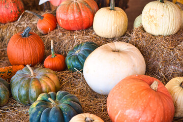 Various types of pumpkins on bales of hay.