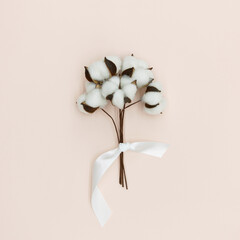 Cotton branch with white ribbon on pink background.