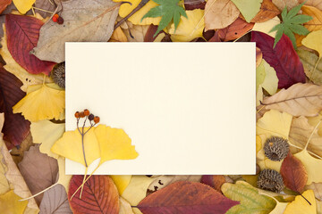 Naklejka na ściany i meble Rectangle frame with autumn fallen leaves.