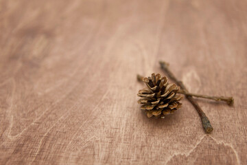 Close up of Pine cone on wooden background.