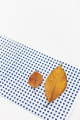 Fallen leaves on blue-dot kitchen cloth on white background.