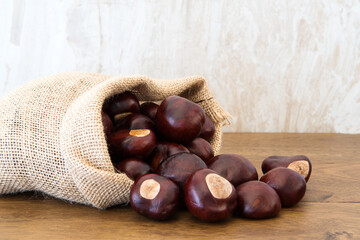 Fresh buckeye chestnut scattered of the burlap bag on wood