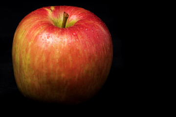 Variegated apple red and yellow with water drops on black background.  Partial View with copy space.