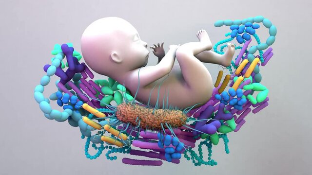 Baby Microbiome, the infant gut microbiome, genetic material of all the microbes.