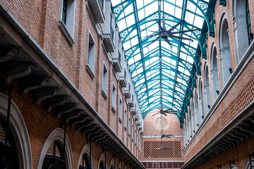 Skylight with green wrought iron frame connected two buildings together. Low angle view.
