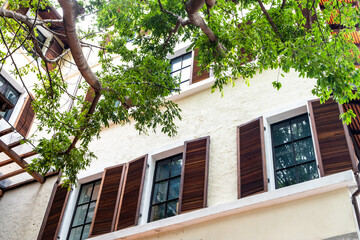 Fa&ccedil;ade of a modern building under shade of a big tree.