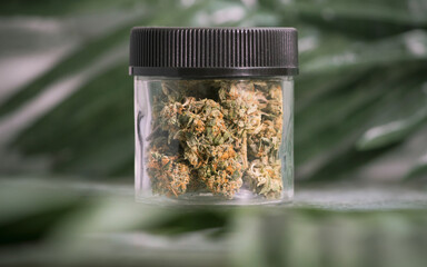 medicinal cannabis flower in closed jar with tropical leaf background