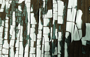 Brown Crack Background. Paint Tree Texture. 