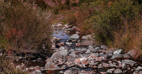 Little river flowing through mountains. Canyon in autumn colors.
