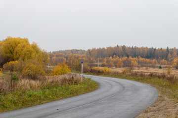 Fototapeta premium asphalt road curl in autumn forests and fields with green and yellow trees and grass in cloudy day