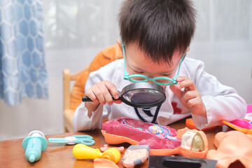 Asian school boy in doctor uniform playing doctor at home, kid wearing stethoscope learning and play with anatomical body organs model, Role playing Ideas for kids concept