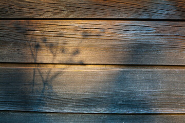 Dark wooden background with shadow in the form of plant silhouette. Brown wood background. copy space