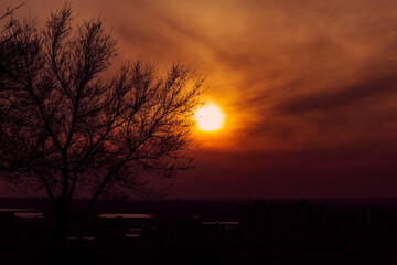 sunset over the city