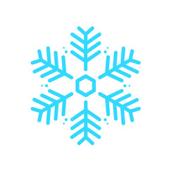 Vector beautiful snowflake design For the winter season that comes with Christmas in the New Year.