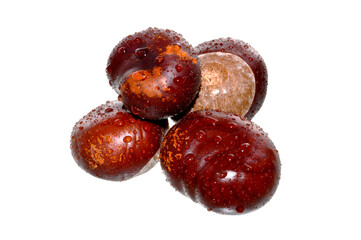 chestnut fruit isolated on white background