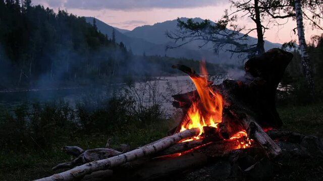 Night video of bonfire in a tourist camp on the bank of Altai river Katun.