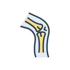 Color illustration icon for cartilage