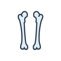 Color illustration icon for femur