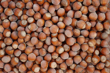 Top view of whole Hazelnuts. Autumn food background