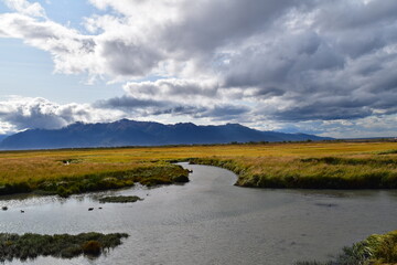 Potter Marsh Wildlife Viewing Boardwalk