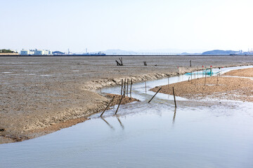 The beautiful landscape of coastline and tidal flat.