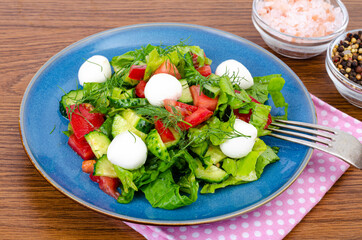 Fresh vegetable salad with mozzarella balls. Photo