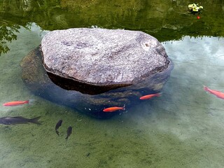 stones in the pond
