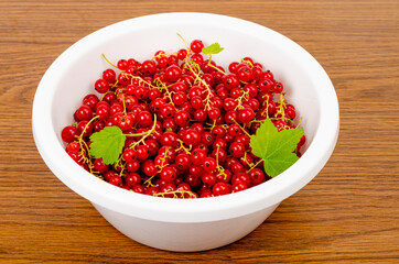 Ripe red currants in white bowl.  Photo
