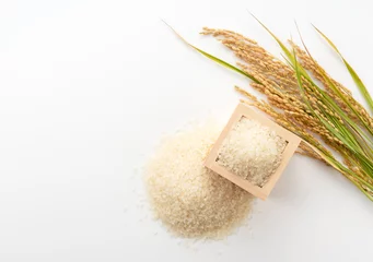 Fototapeten White rice, Masu and ears of rice on a white background © m________k____