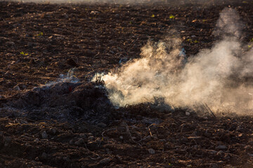 Farmers burn the dry grass and straw stubble on field in autum, another cause of global warming. Air pollution.