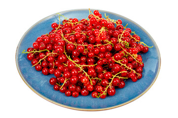 Berries. Red currants on blue plate. Vegetarian menu.