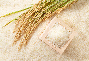 White rice and Japanese Masu and rice ears