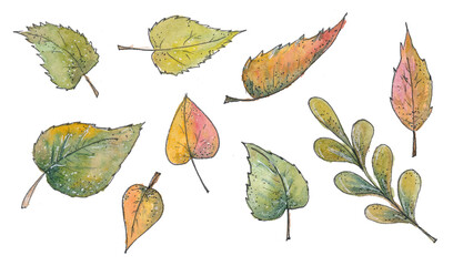 Autumn leave. The watercolor drawing