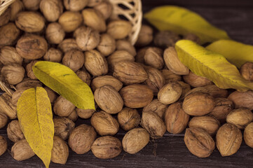 harvest of walnuts, poured from a wicker basket on the table close-up. background with walnuts.