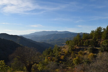Naklejka premium landscape with trees and clouds