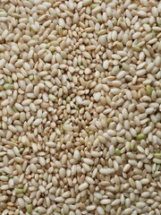 한국의 유기농 곡식 현미 
