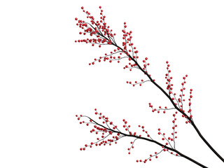 Minimal element for Christmas and  New year concept. Red berries isolated on white background 3d render illustration. Clipping path of each element included.
