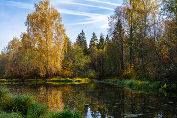 View of calm water of a slowly flowing river with the reflection of an autumn forest near Moscow, Russia