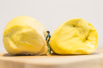 Miniature people : Close up fat man standing with durian isolated on white background 