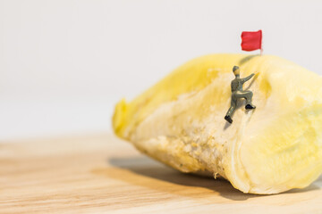 Miniature people : Close up workers work on durian isolated on white background (food concept)