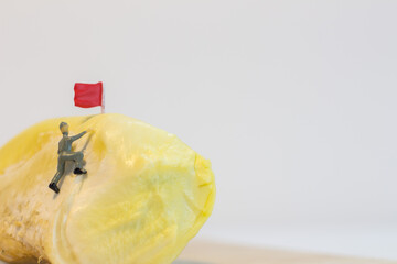 Miniature people : Close up workers work on durian isolated on white background (food concept)