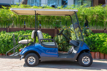 small golf electric car at a tourist resort. blue electric car parked on the roadside. © Celt Studio