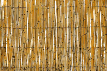 bamboo fence background texture. brown bamboo fence texture background