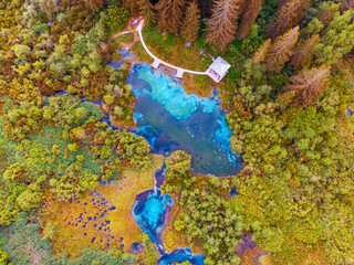 Aerial view of beautiful Zelenci lake in the Julia Alps in Triglav National Park near Kranjska Gora at sunset