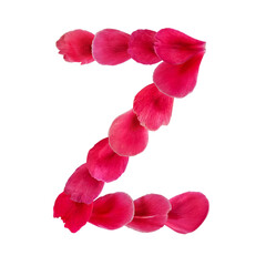 Decorative natural English letter Z made of deep pink flower petals, isolated on white background. Floral design element for greeting, holiday, wedding spring summer cards