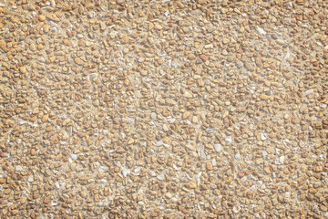 Concrete wall mix with sea shells and gravel as the aggregate texture abstract for background