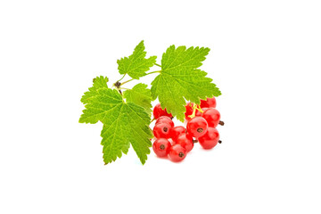 Red currant berries isolated on white background