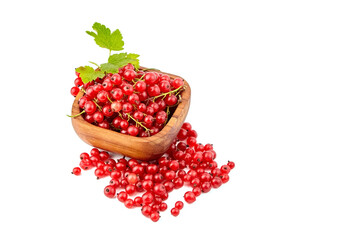 Red currant berries in bowl isolated on white background